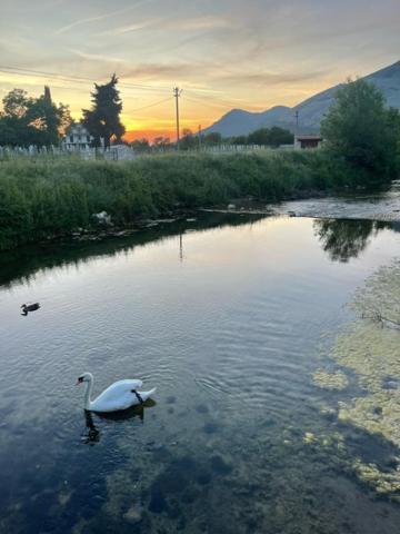 Smjestaj Dada Villa Trebinje Exterior foto