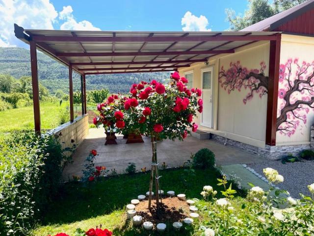 Smjestaj Dada Villa Trebinje Exterior foto